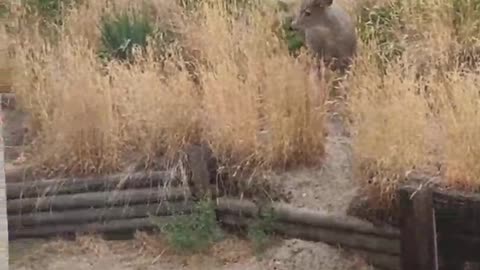 Passing a Couple O' Bucks