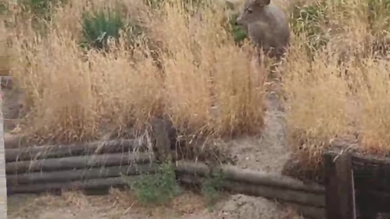 Passing a Couple O' Bucks