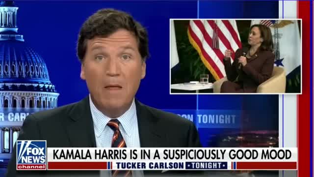 Tucker It’s a happy day at Kamala Harris’ house #shorts #shortsfeed #shortsfeed