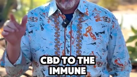 Boosting Immunotherapy with CBD: A Game-Changer for Cancer Care!