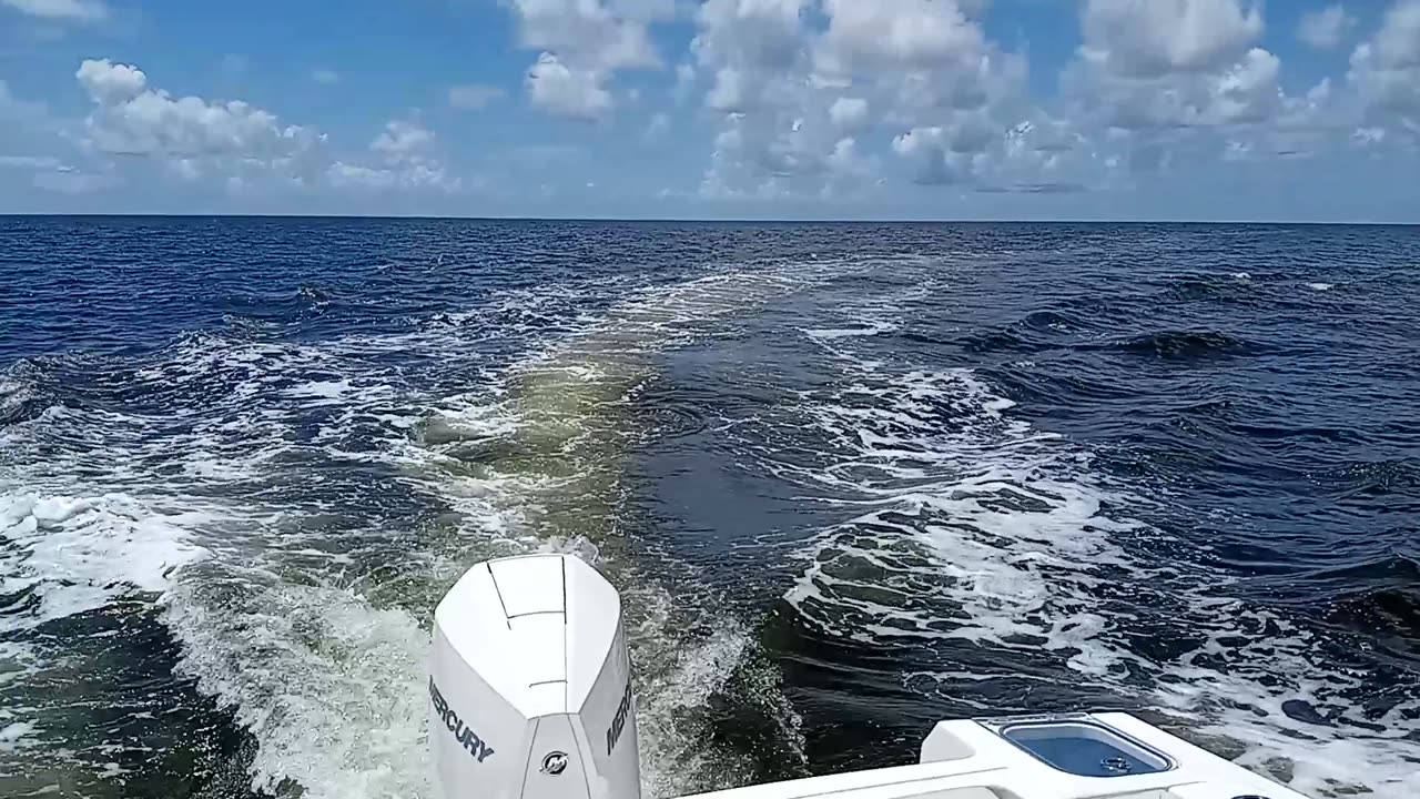 Cruising Offshore Bald Head Island