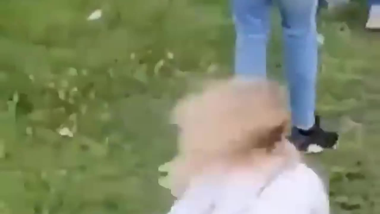 Try not to laugh