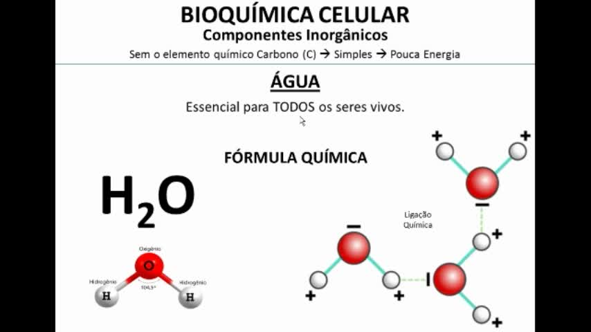 Citologia: Bioquímica Celular --> Inorgânicos - MinhaEscolaWeb