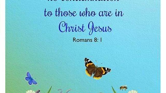 AVAILABLE *NOW*! B-225