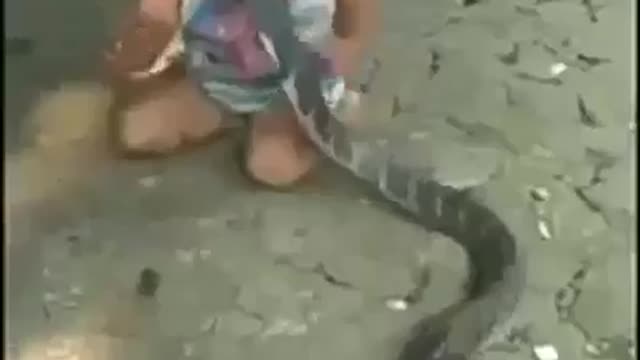 A snake plays with a human child