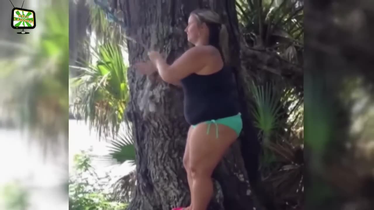 fatty failed tried