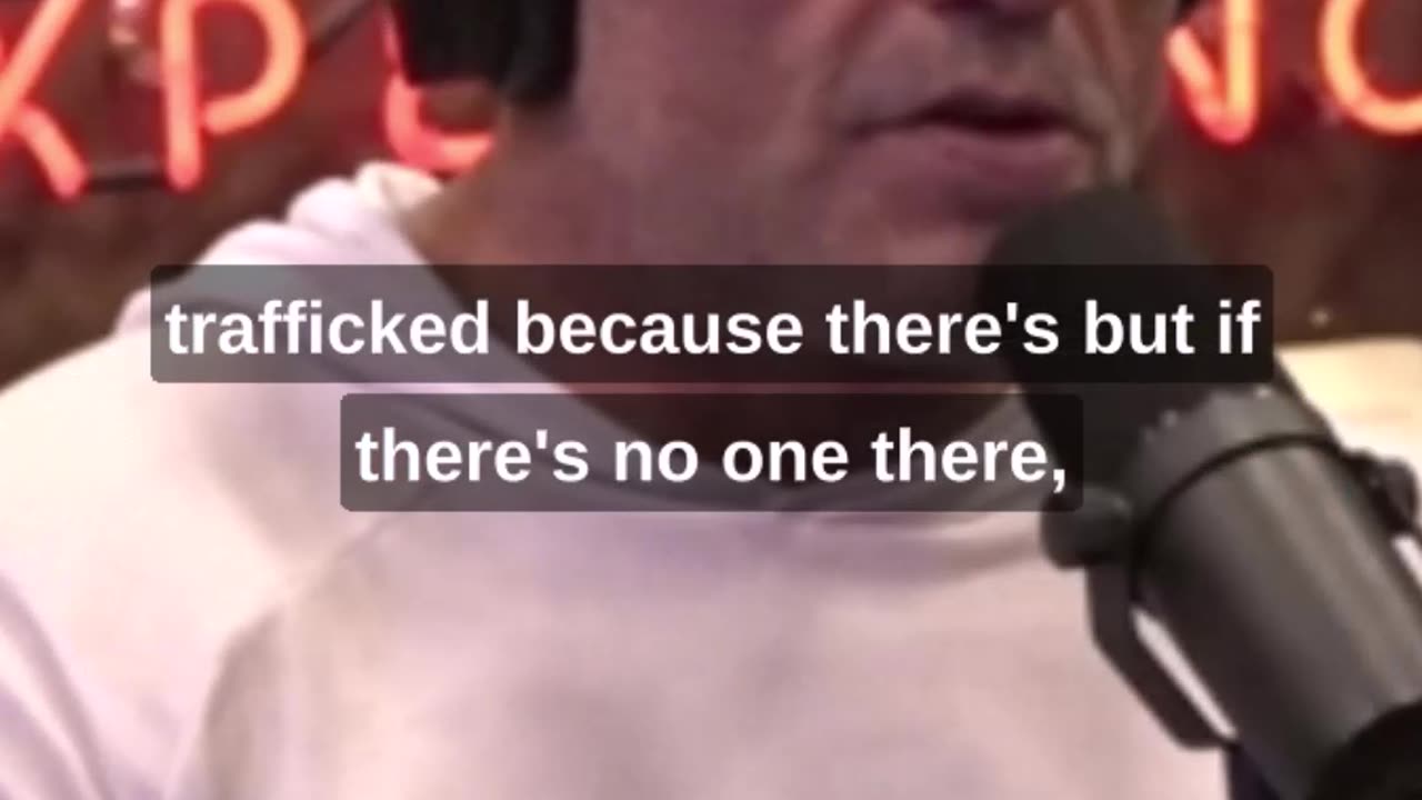 JRE Fight Companion - The Mysterious Epstein #jre #fightcompanion #epstein