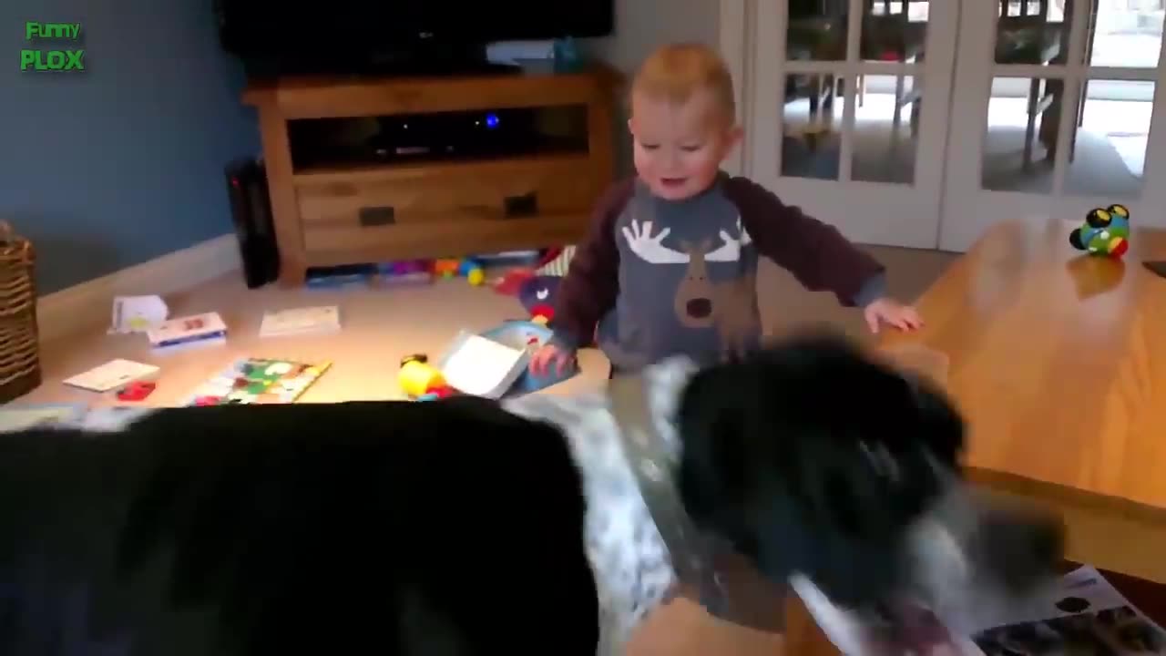 Funny babies Laughing Hysterically at dogs compilation