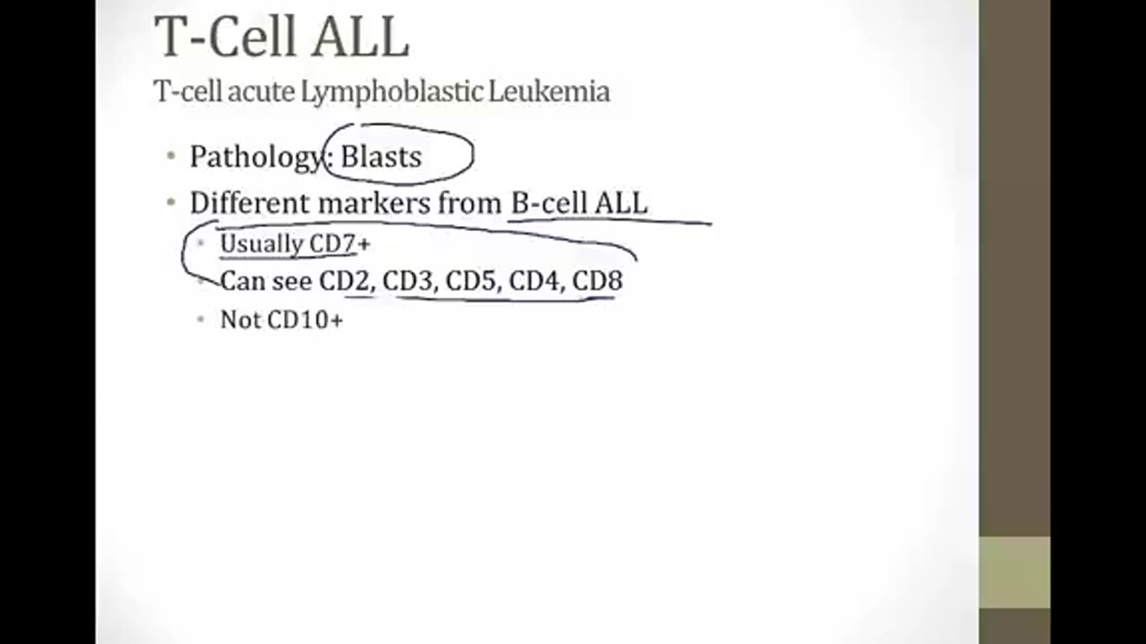 acute leukemia bnb 1