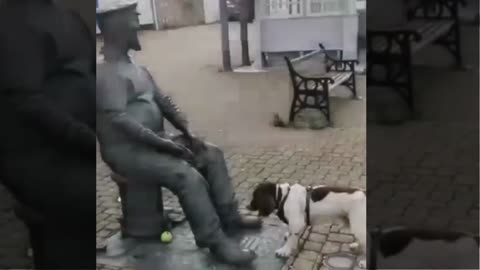 Cute puppy when playing, see the reaction!