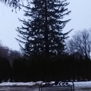 Psalm 36 Message Bible (God's love is meteoric)