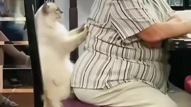 Cat Gives Grandmother a Massage