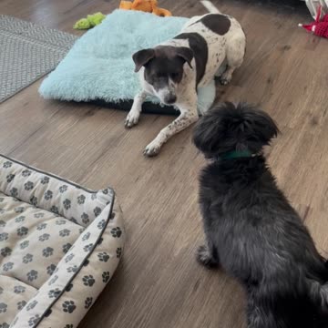 Lana - Happy Girl 04