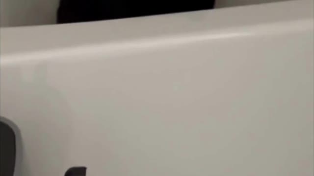Adopting a Cat from a Shelter Vlog - Cute Precious Piper Has a New Hiding Place #shorts