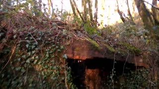 Old station house ruins Ystradowen.