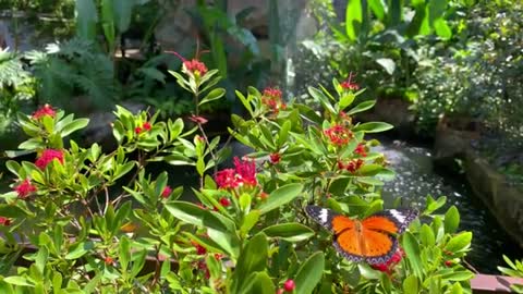 Relaxing Music | Sleeping, Meditation, Stress Relief | [5971] ⭐️