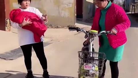 Best Funny Videos