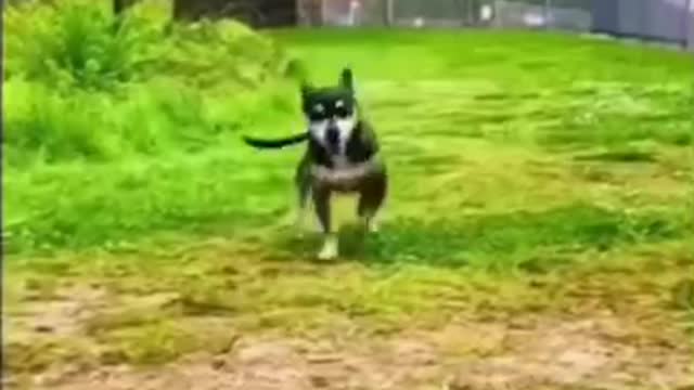 a happy day