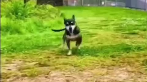 a happy day
