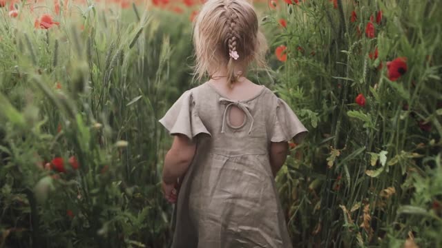 flower garden
