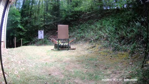 ME SHOOTING A BUMBLEBEE AT 21 FEET