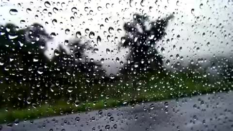 8 Hours of Relaxing Sounds of Rain Falling on