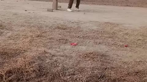 My Village Cricket