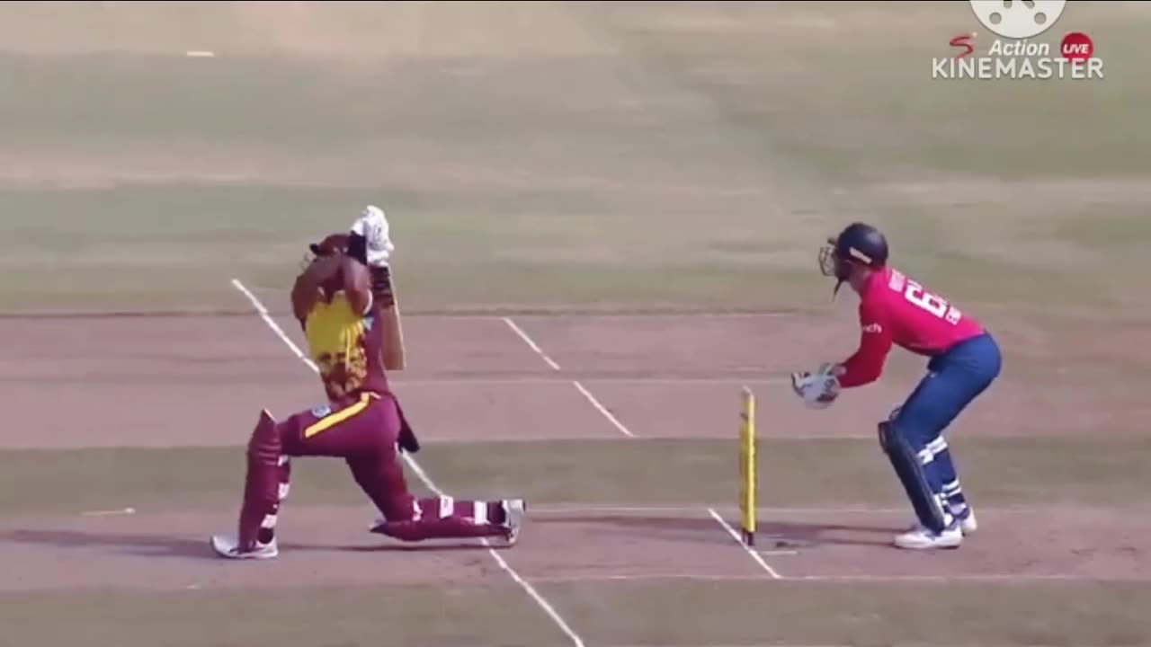 T20 match highlights