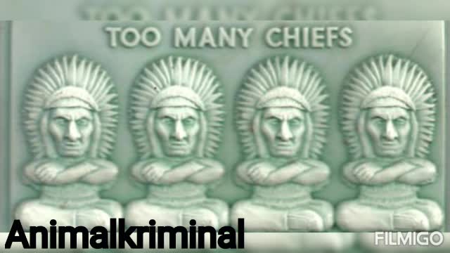 Too many chiefs - Animalkriminal