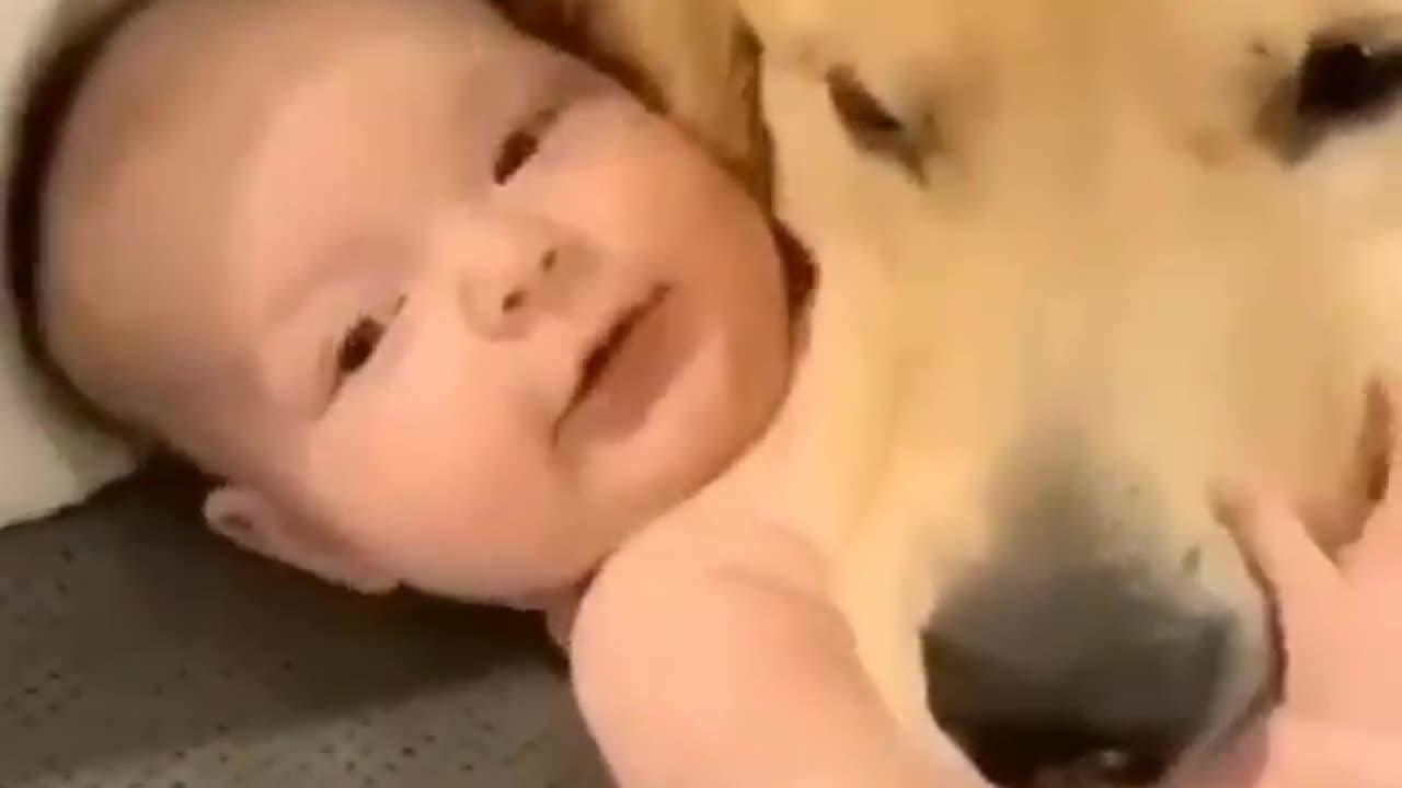 #cute baby# doggy #funny#romantic