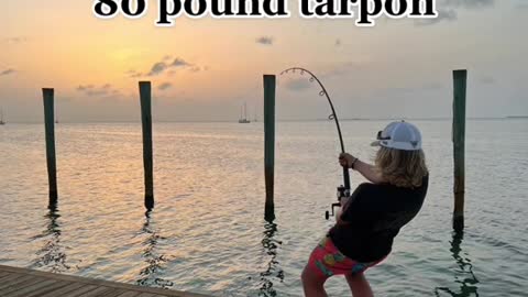 me thinking i have a8o pound tarpon