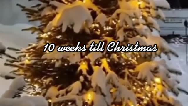 10 weehs till Chistmas