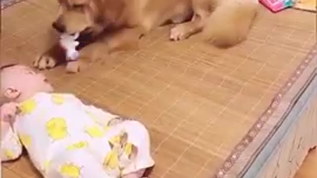 SMART DOG AND BABY-SOO CUTE