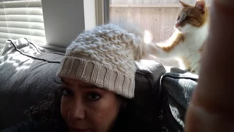Pom