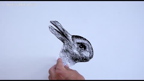 This amazing little experiment, the duck-rabbit illusion, it's amazing