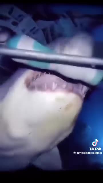 Wow Imagine If This Was Real