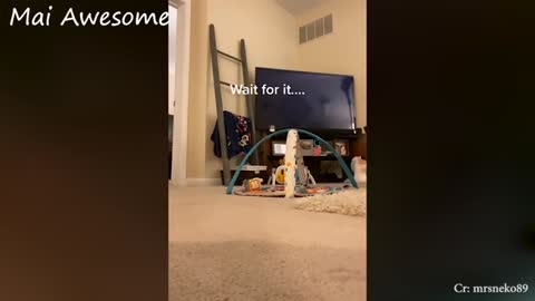 ⚠️ WARNING!!! This Video Has An Excessive Amount Of Cuteness - Cute Baby and Daddy video