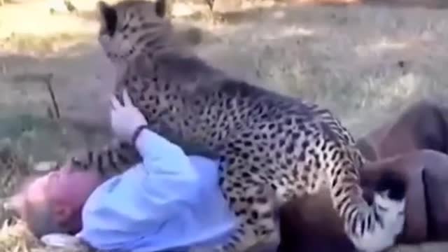 Precious moments between man and animal