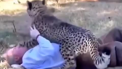 Precious moments between man and animal