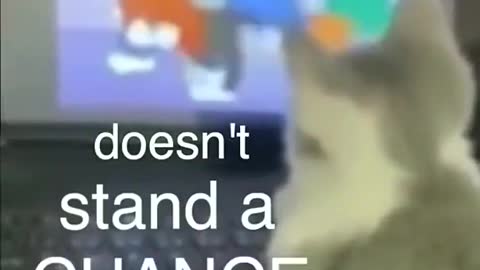 This must be a tough show for him to watch