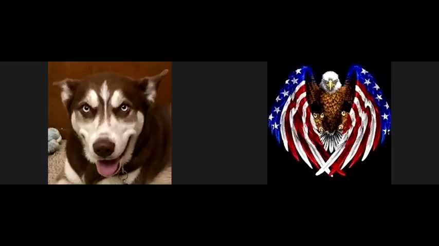 PATRIOT UNDERGROUND & GENE DECODE - BIOWEAPON LABS, TAKEDOWN KHAZARIAN MAFIA, SATANIC RITUALS & more