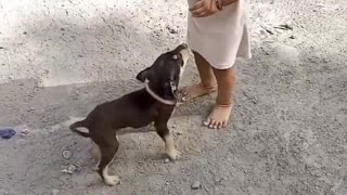 Cute Baby And Dog Funny Shorts Video #shorts