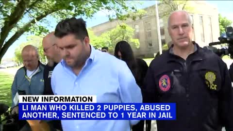 LI man sentenced to jail for animal abuse