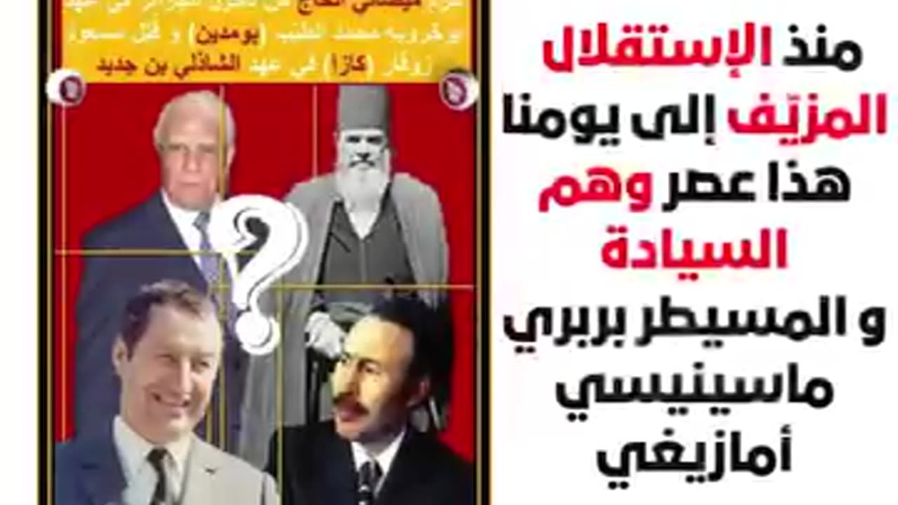 😼😼😼على نهج القط محمد الوالي المدرسة العليا للقطط