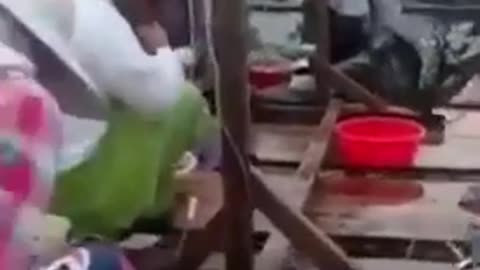 WHATS IN YOUR MEAT AND FISH