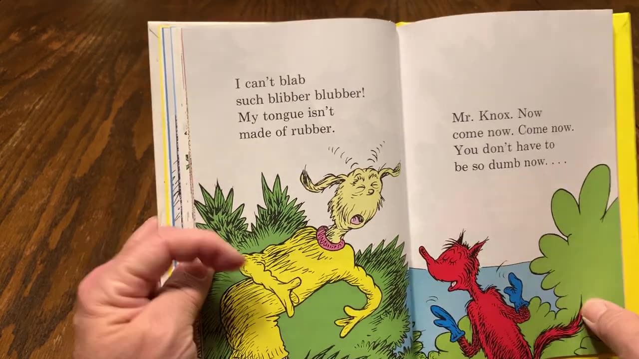 StoryTime with Teacher Ray - Fox in Socks