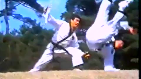 In The Beginning With The Formation Of The Korea Hapkido Federation