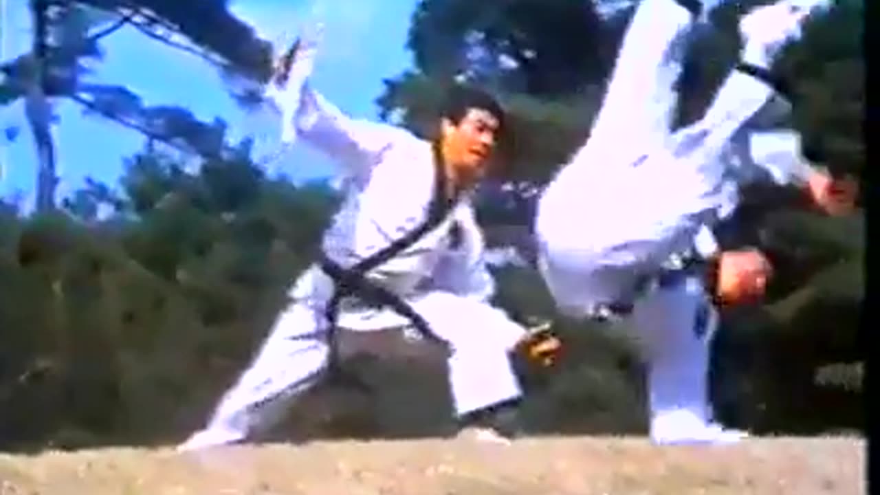 In The Beginning With The Formation Of The Korea Hapkido Federation