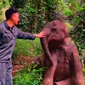 Adore Elephant life, Animals, Adorable Monkeys #4