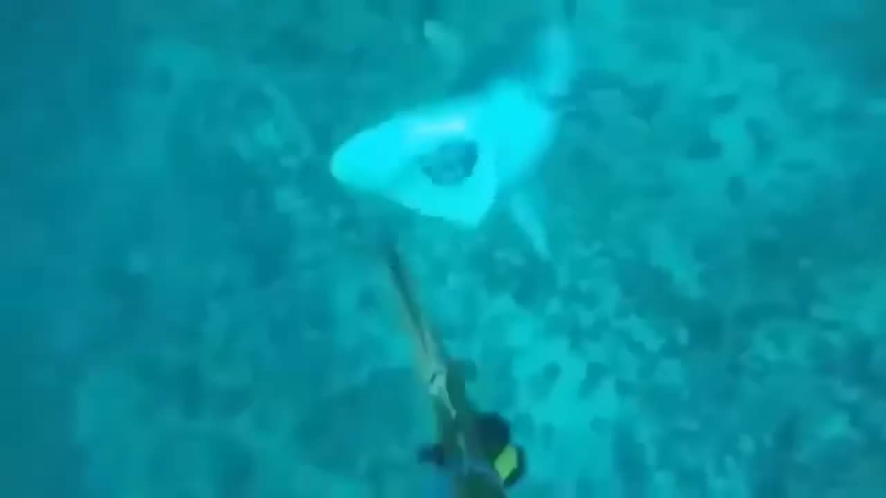 Amazing Animals Moments Captured by Cameras